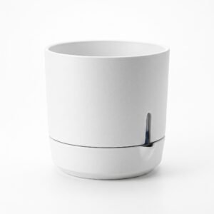 Self-Watering Plant Pot
